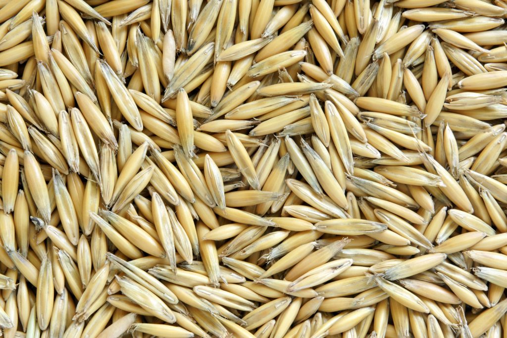 QUOATS Project - Oat Services Ltd